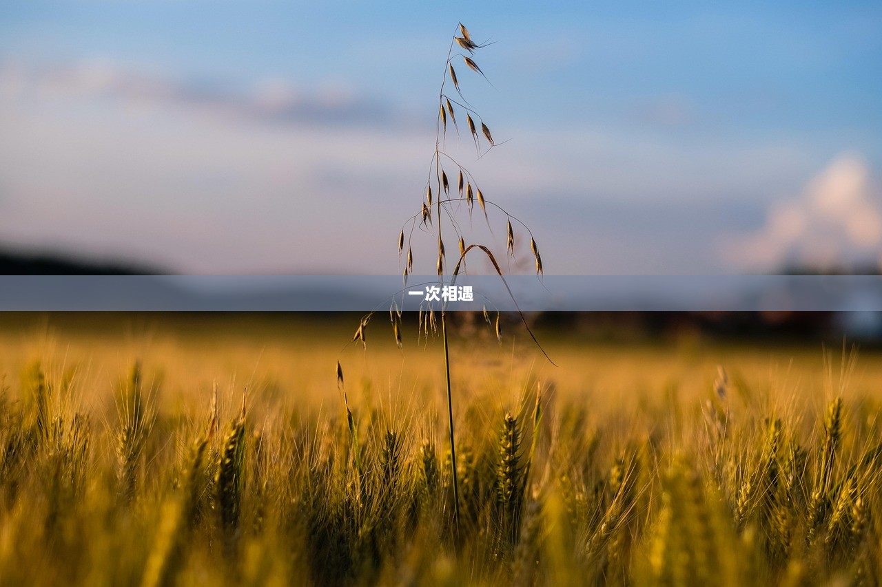 一次相遇