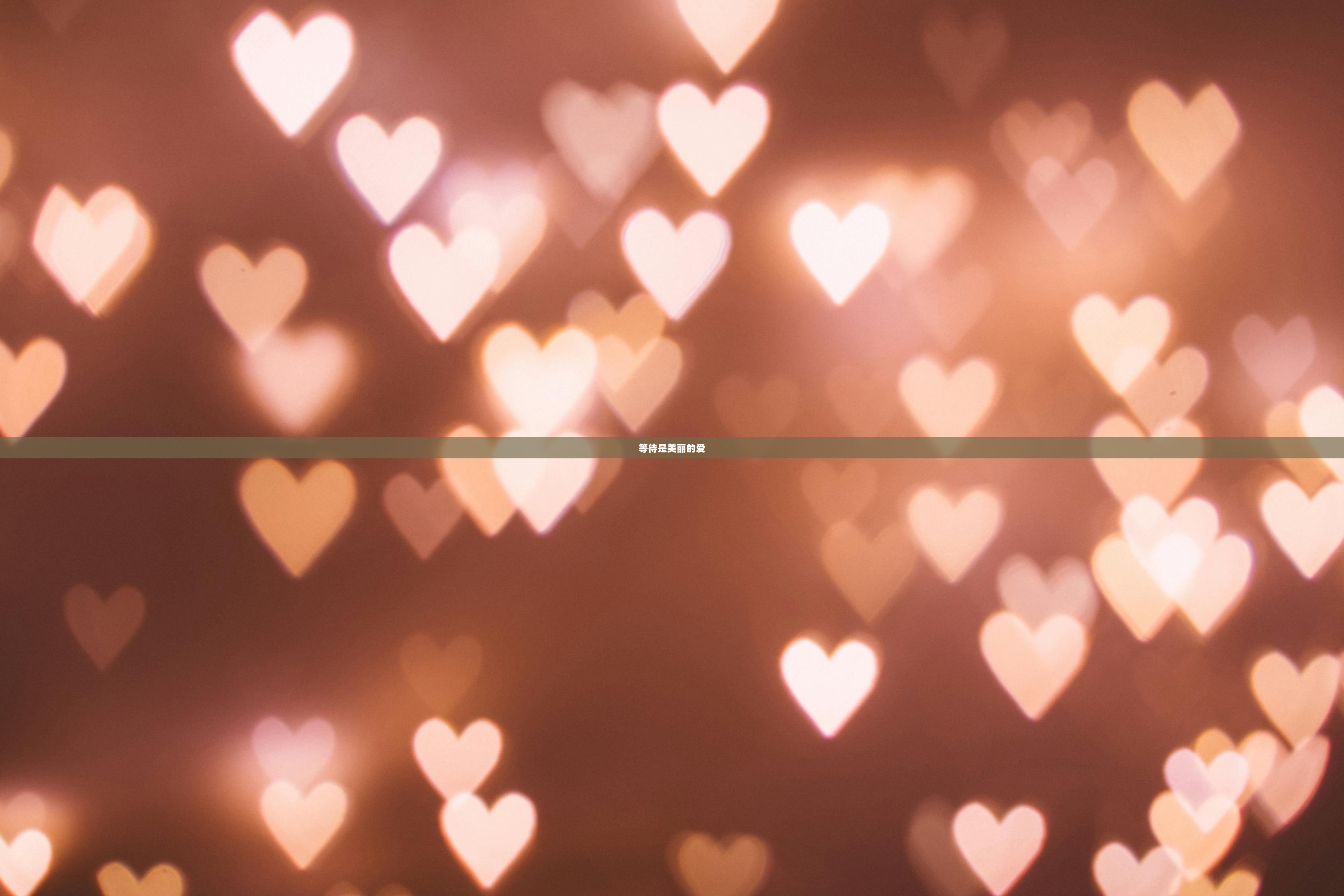 等待是美丽的爱