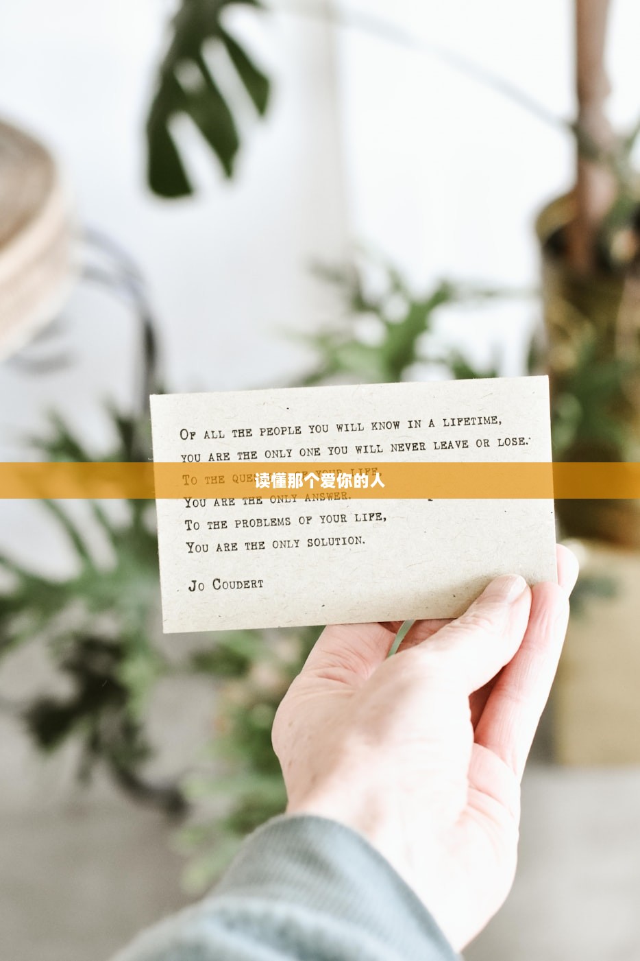 读懂那个爱你的人