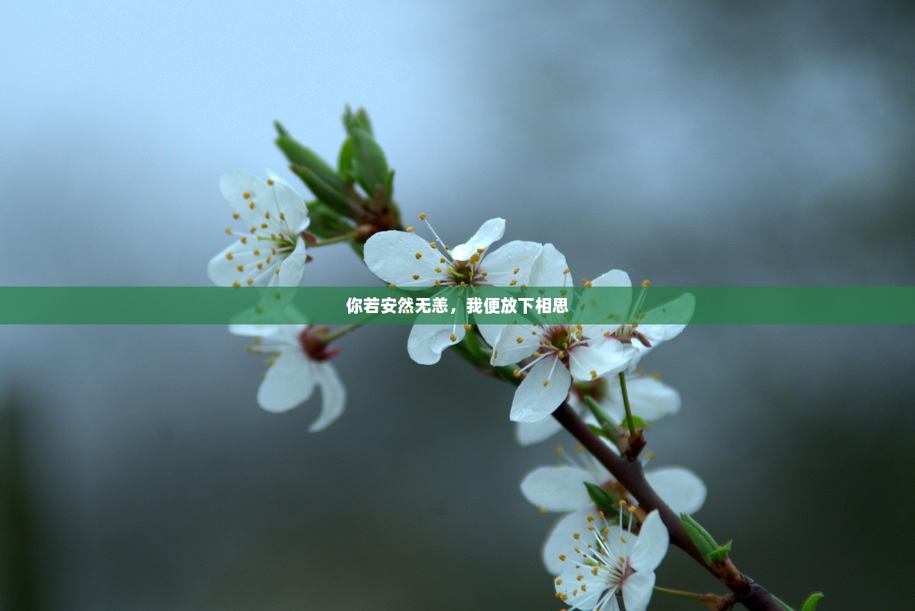 你若安然无恙，我便放下相思