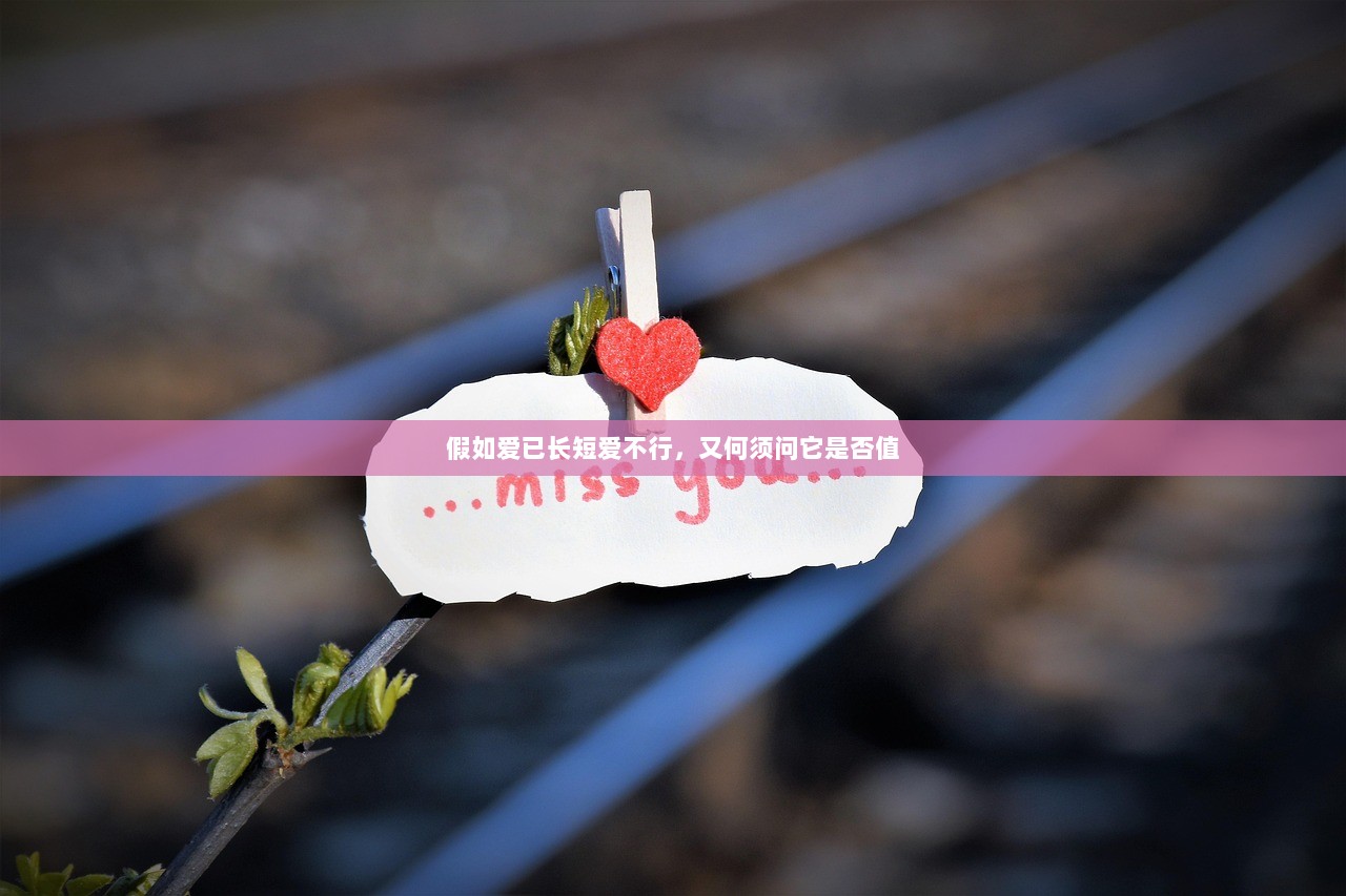 假如爱已长短爱不行，又何须问它是否值