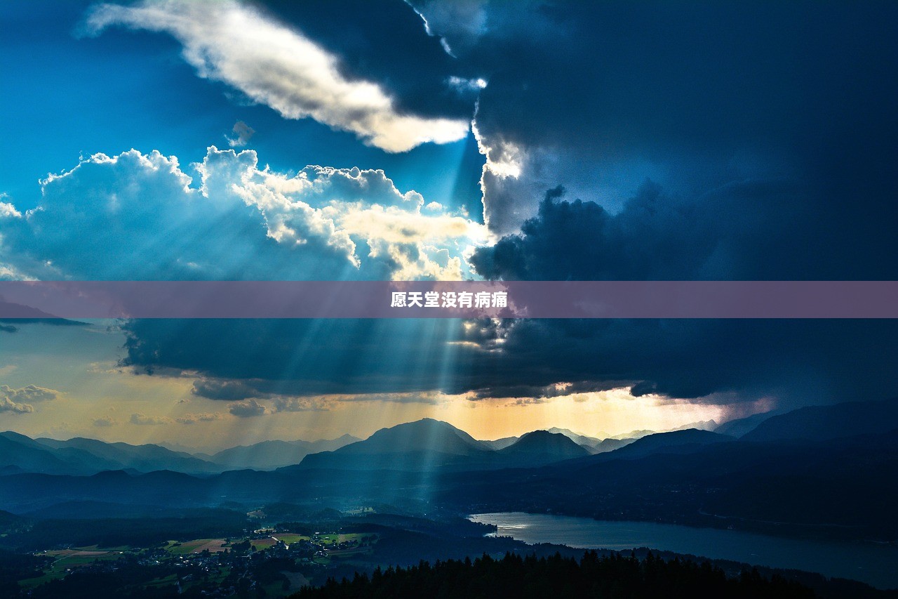 愿天堂没有病痛