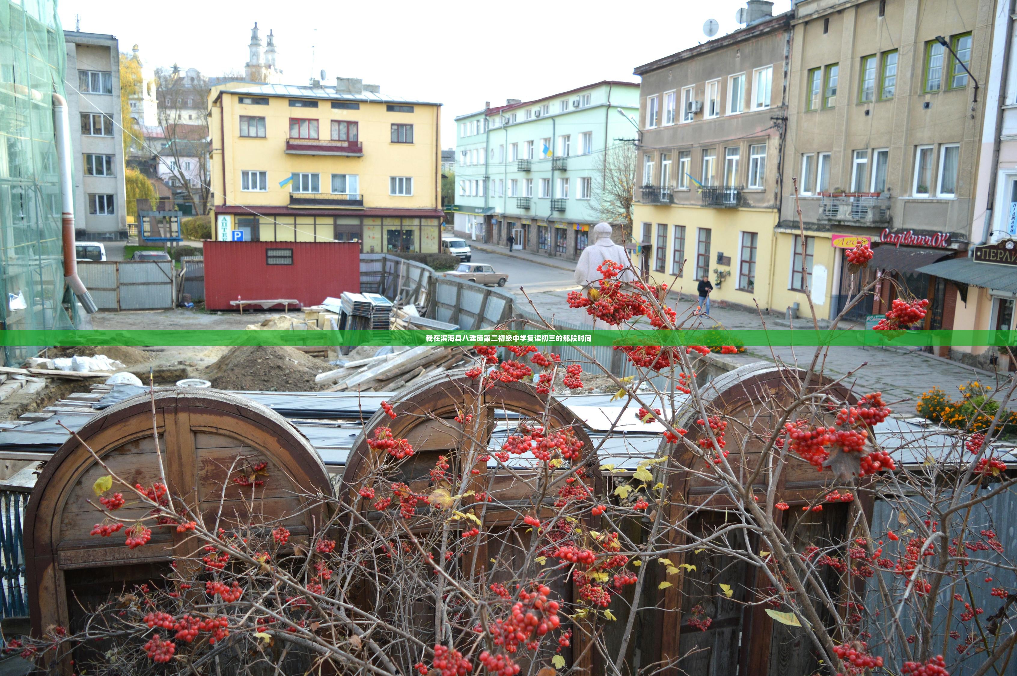 我在滨海县八滩镇第二初级中学复读初三的那段时间