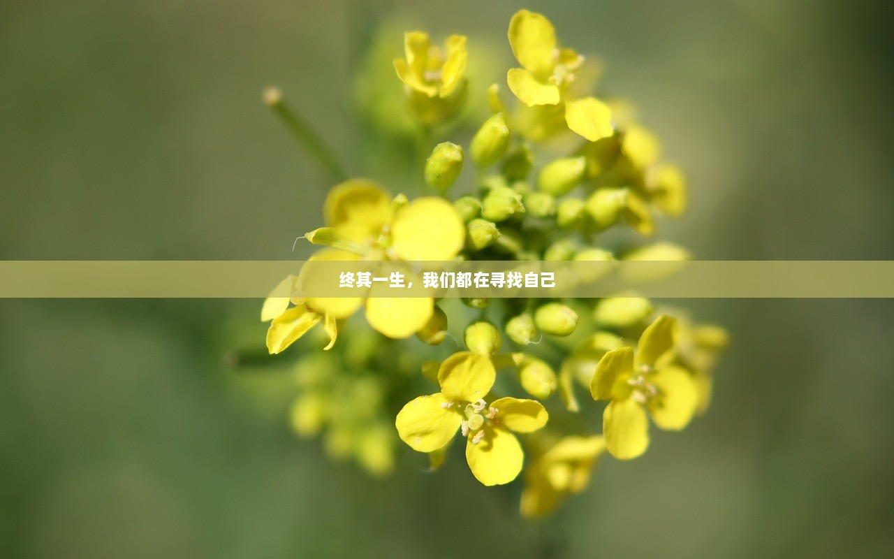 终其一生，我们都在寻找自己