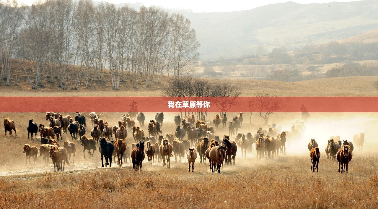 我在草原等你