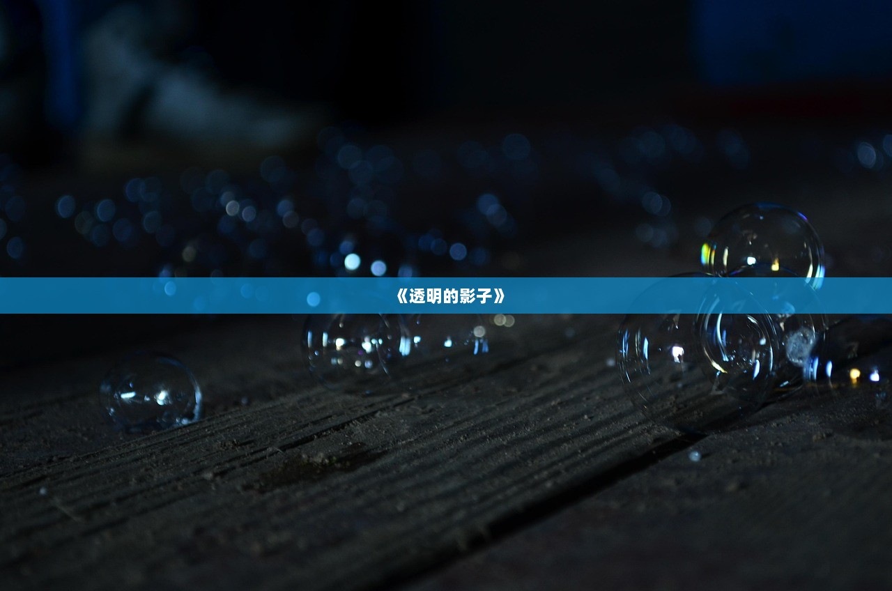 《透明的影子》
