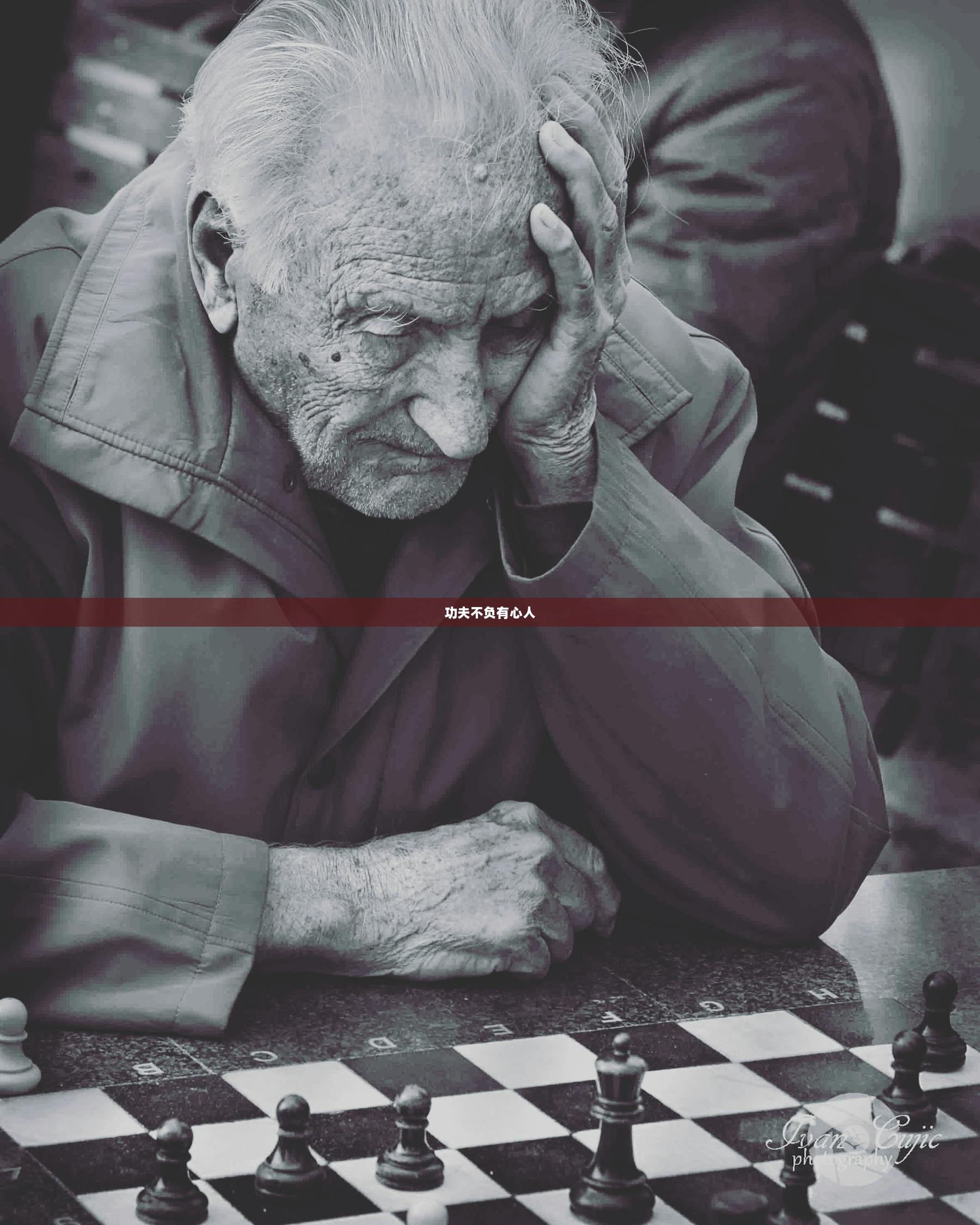 功夫不负有心人