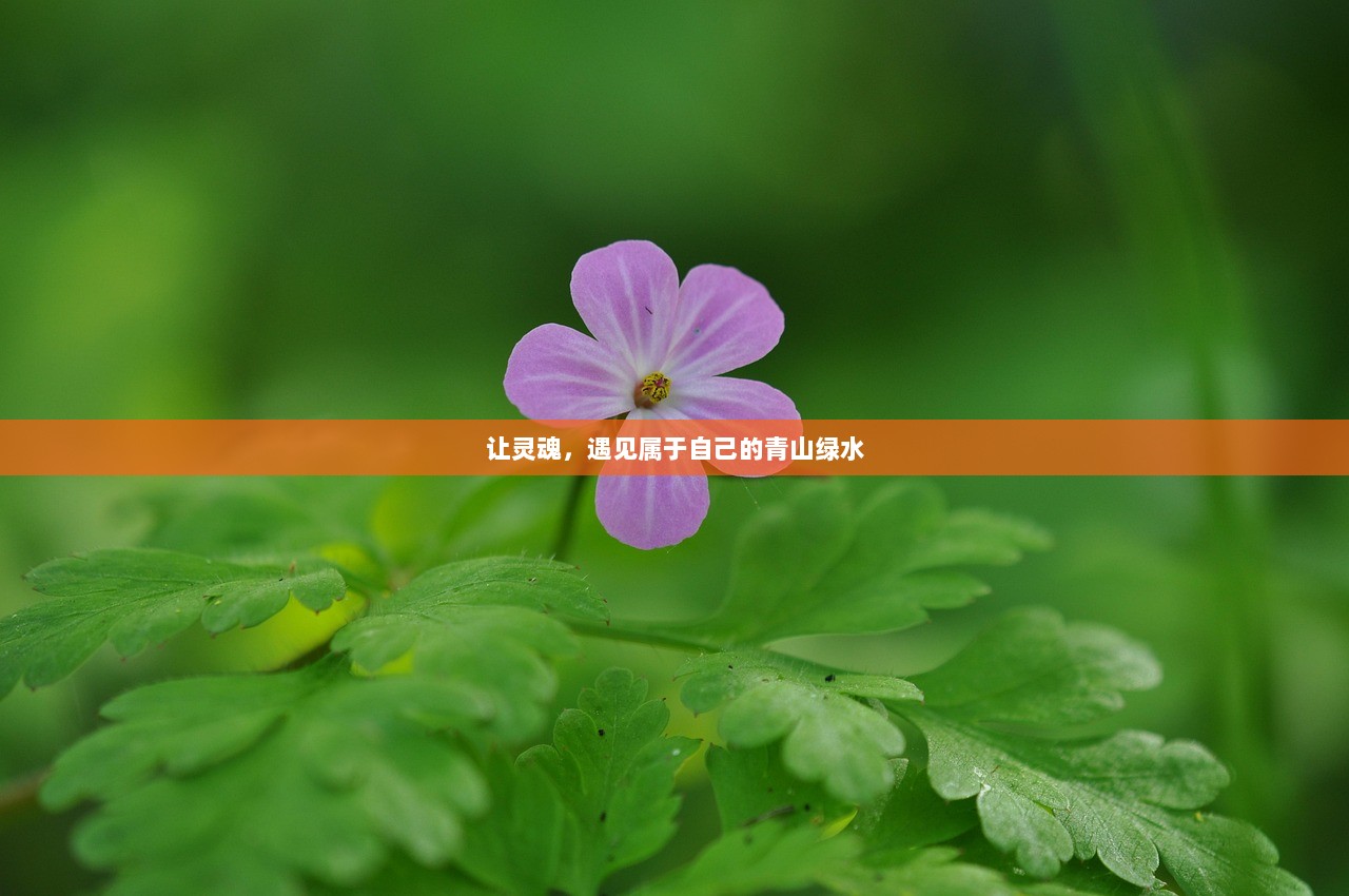 让灵魂，遇见属于自己的青山绿水