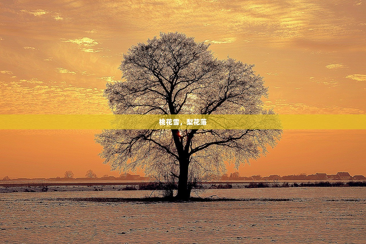 桃花雪，梨花落