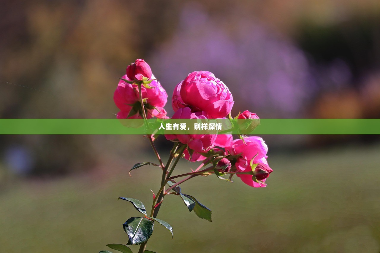 人生有爱，别样深情