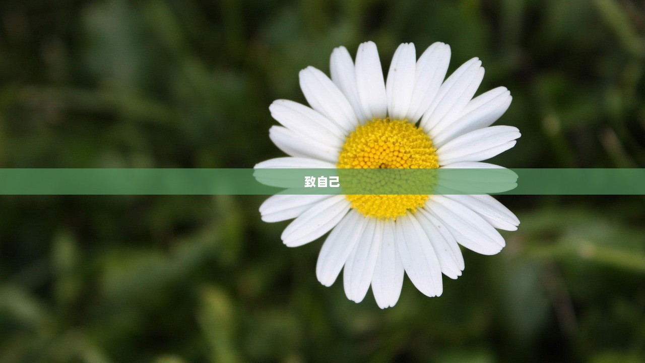 致自己