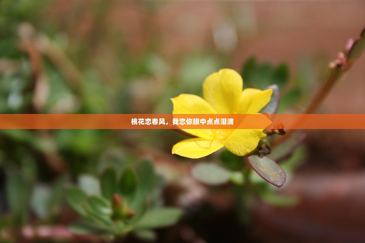 桃花恋春风，我恋你眼中点点泪滴