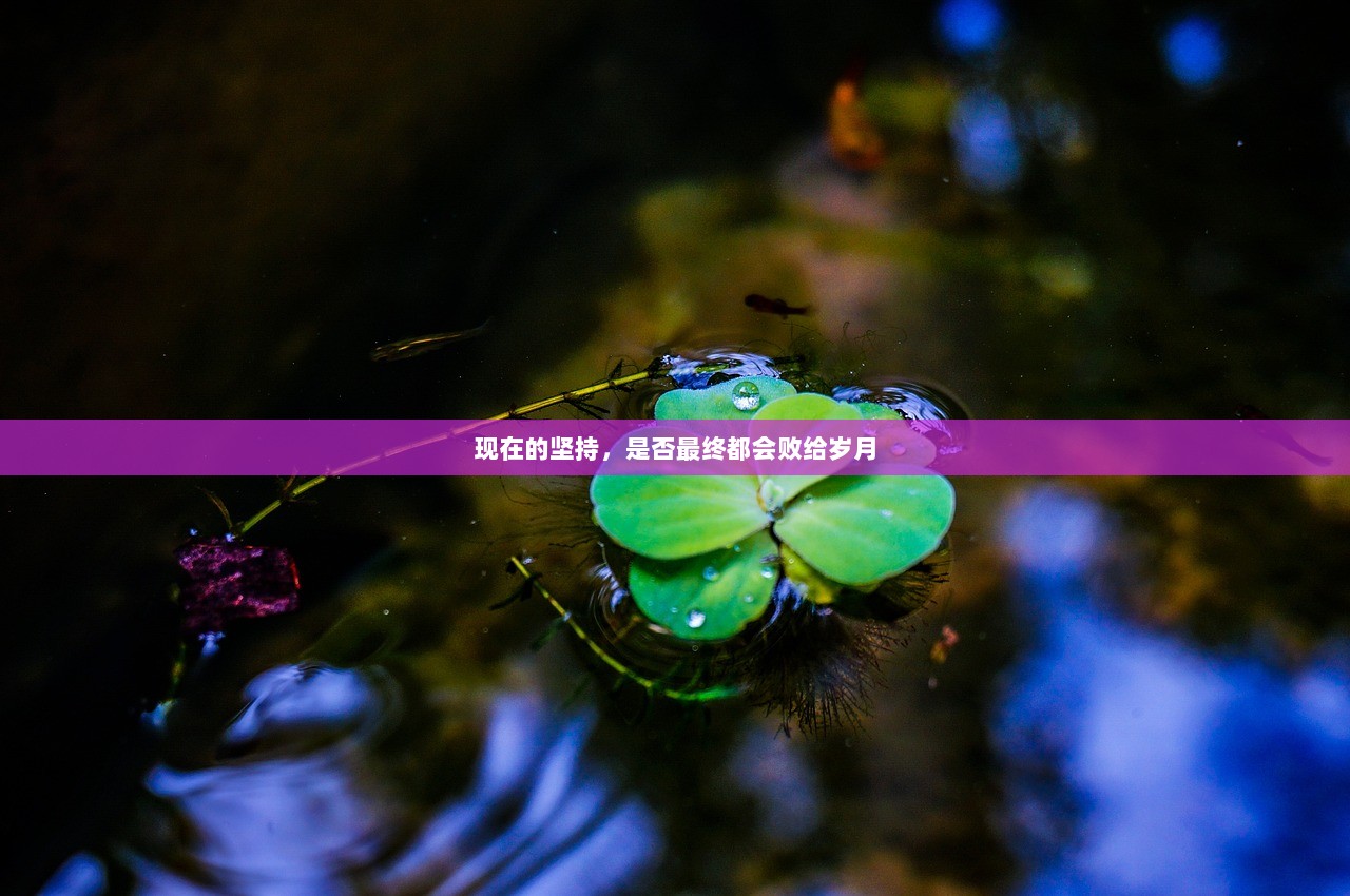 现在的坚持，是否最终都会败给岁月