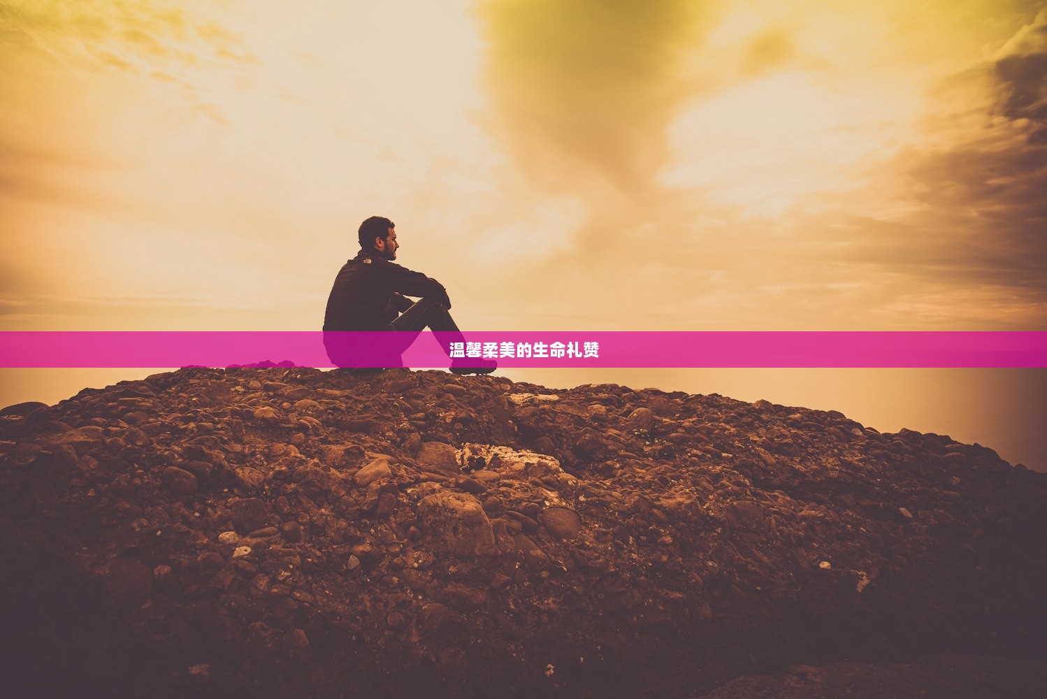 温馨柔美的生命礼赞