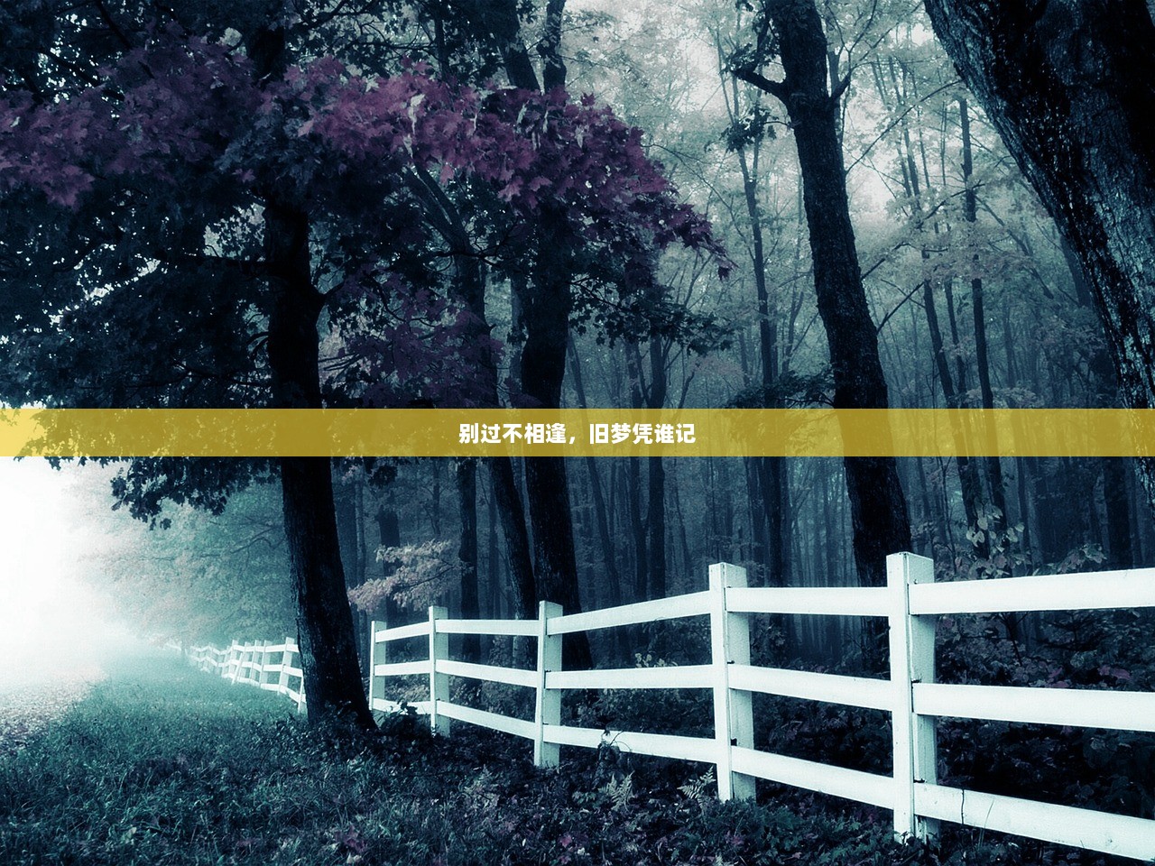 别过不相逢，旧梦凭谁记