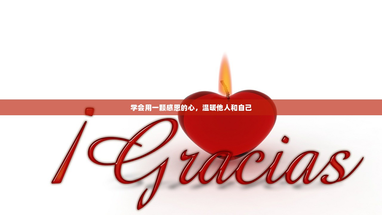 学会用一颗感恩的心，温暖他人和自己