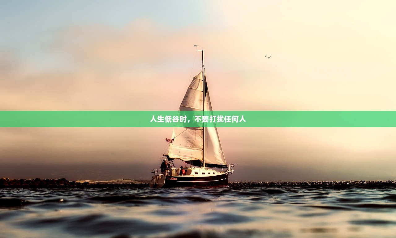 人生低谷时，不要打扰任何人