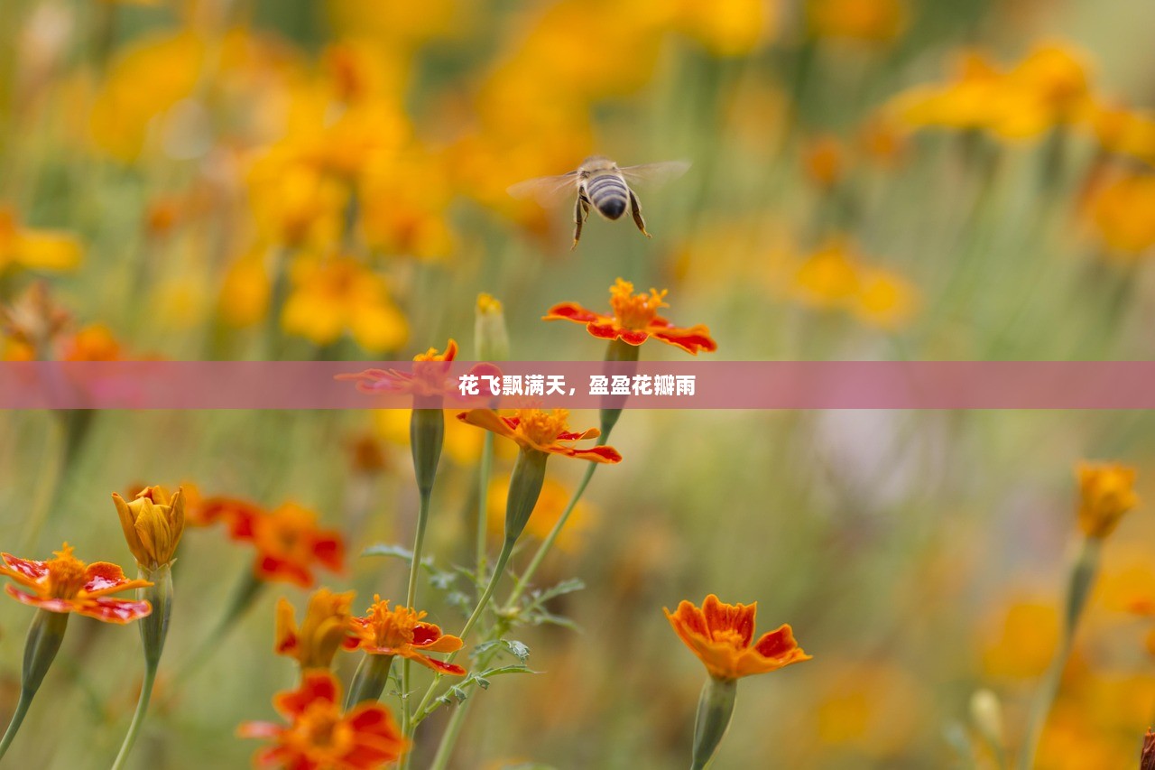 花飞飘满天，盈盈花瓣雨