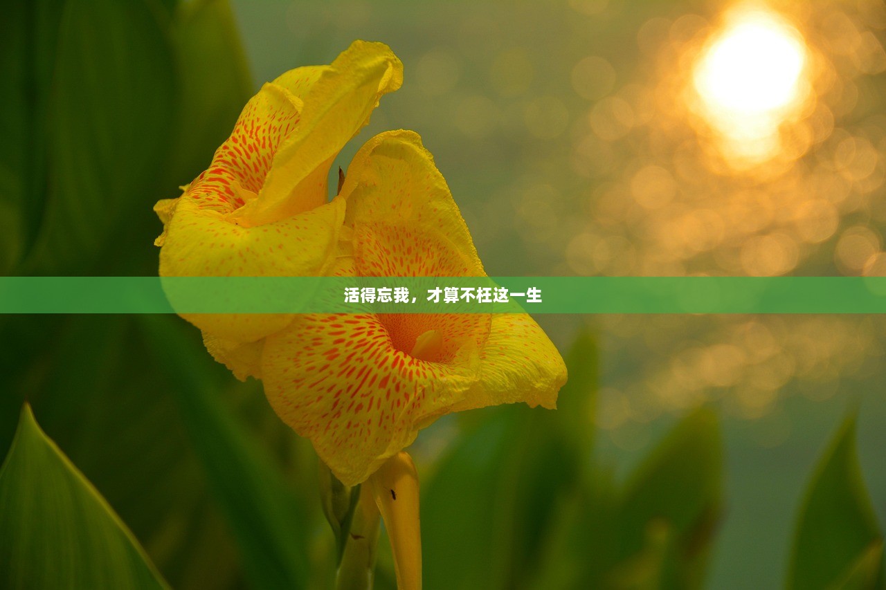 活得忘我，才算不枉这一生