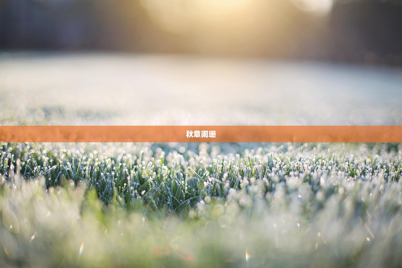 秋意阑珊  第1张