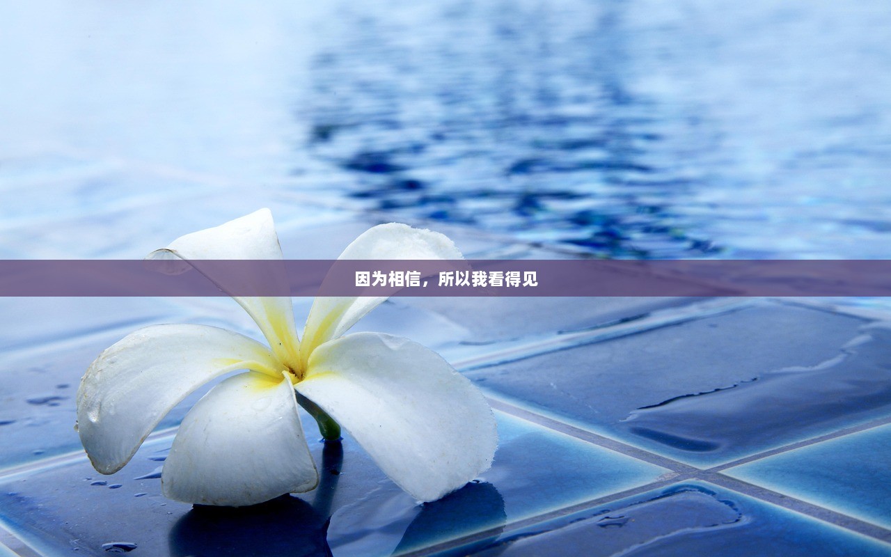 因为相信，所以我看得见