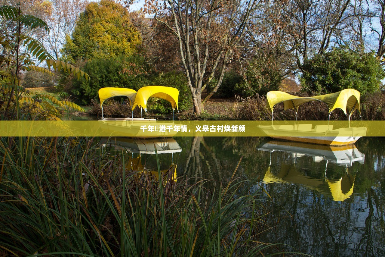 千年溇港千年情，义皋古村焕新颜