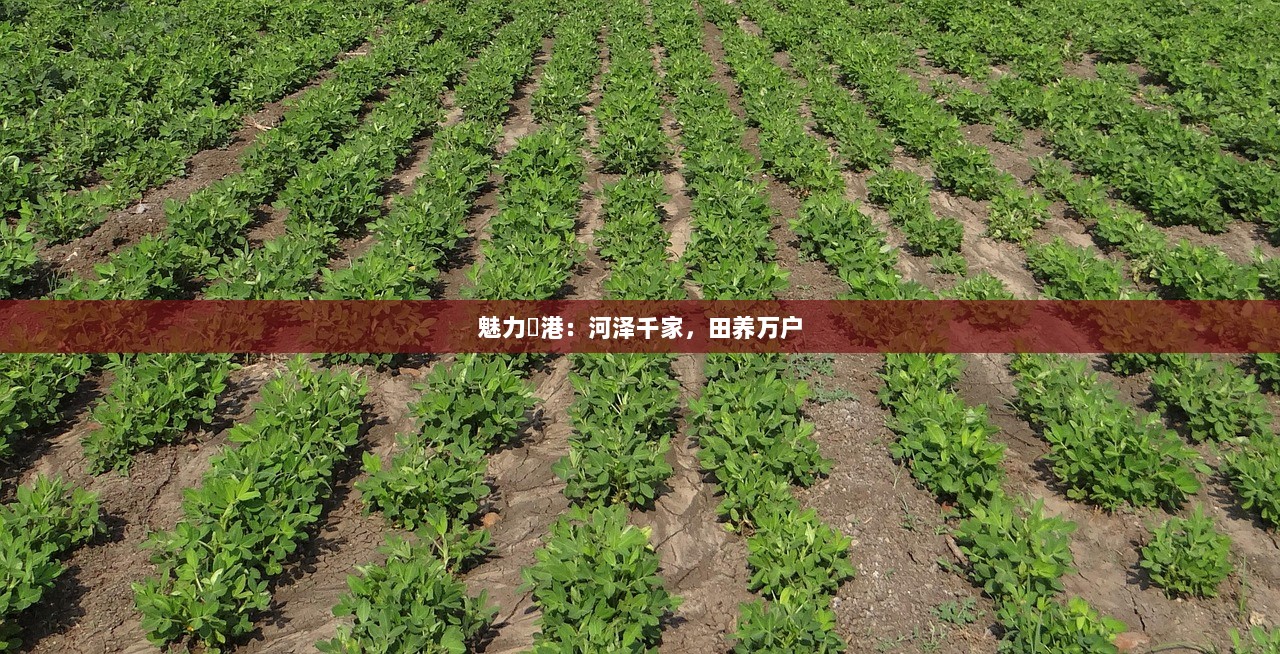 魅力溇港：河泽千家，田养万户