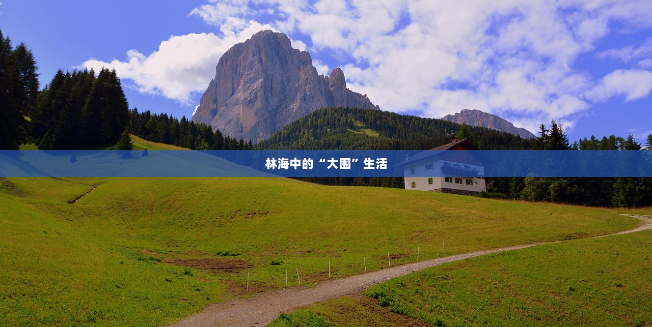 林海中的“大围”生活