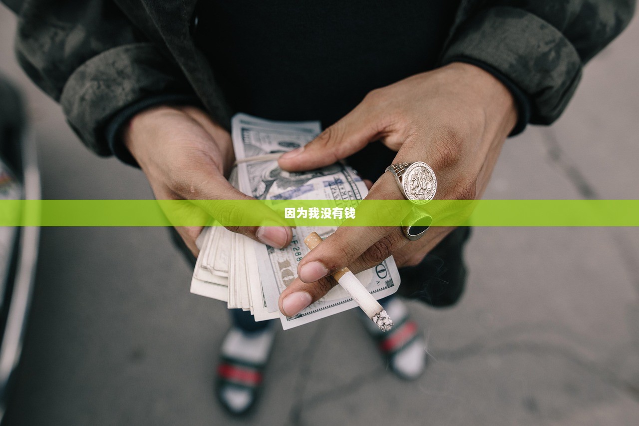 因为我没有钱