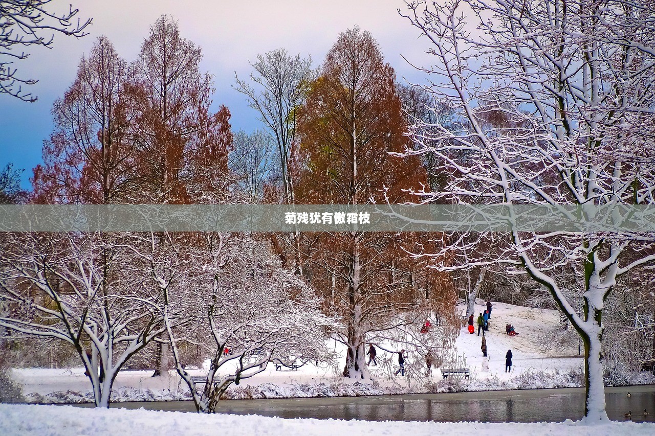 菊残犹有傲霜枝