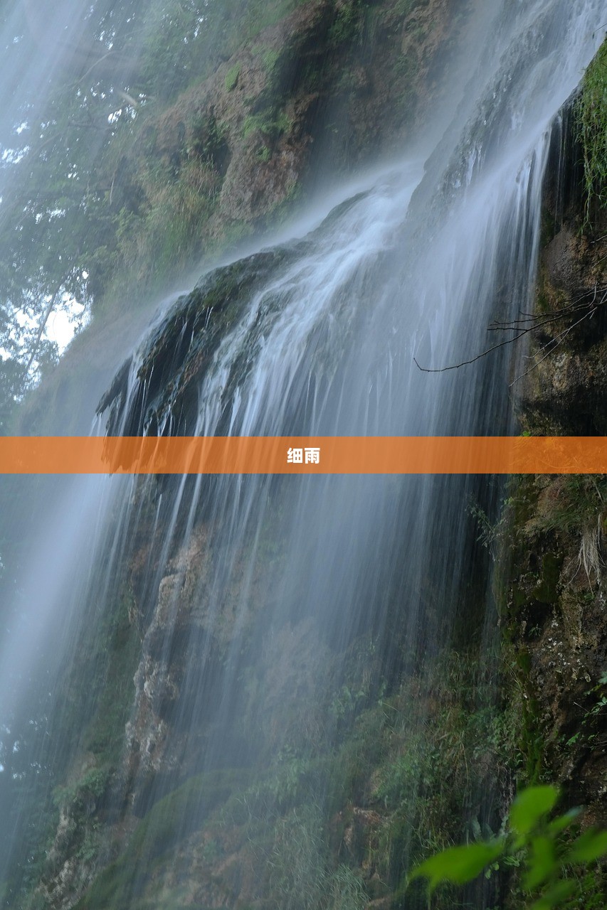 细雨