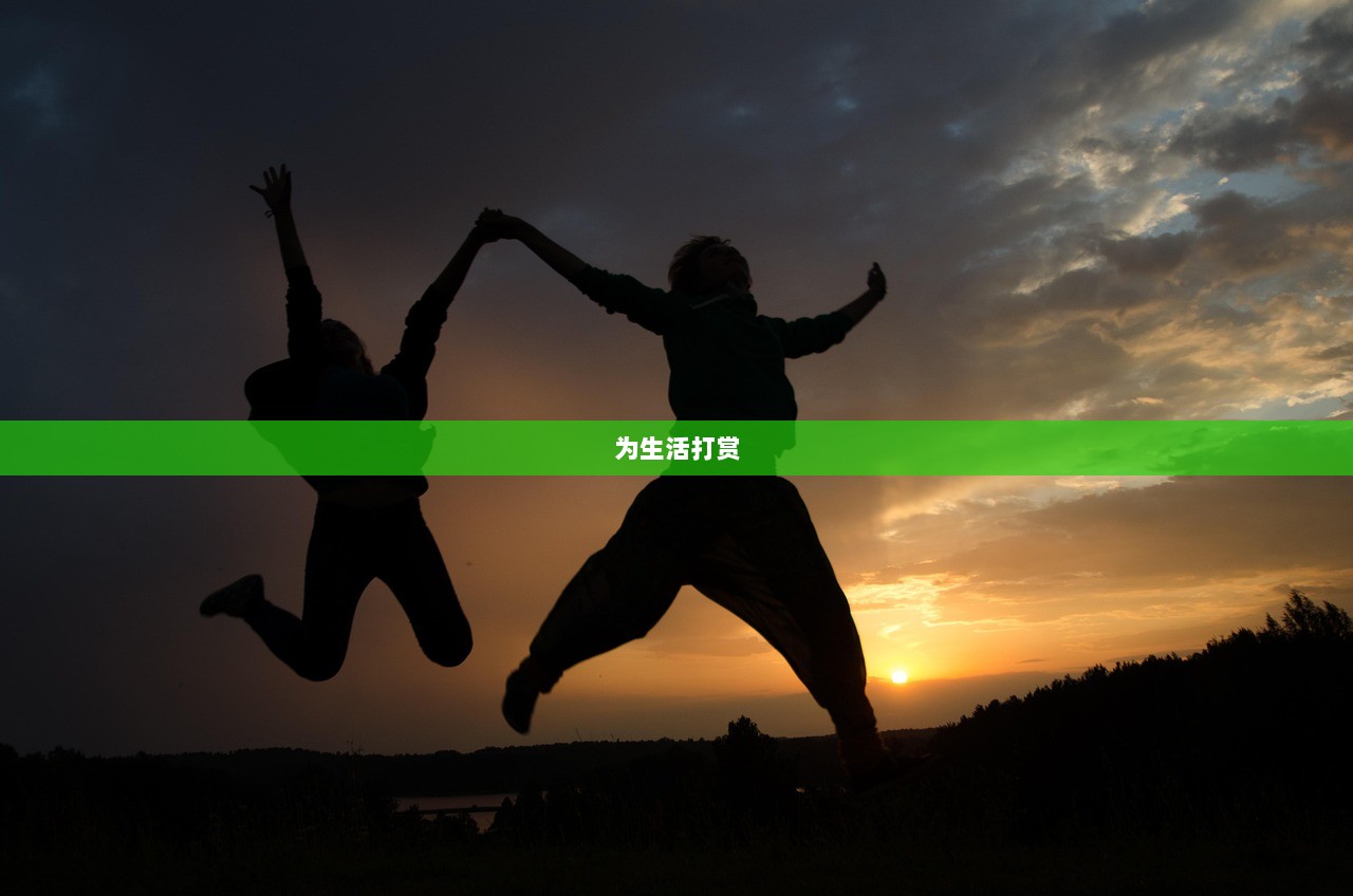 为生活打赏  第1张