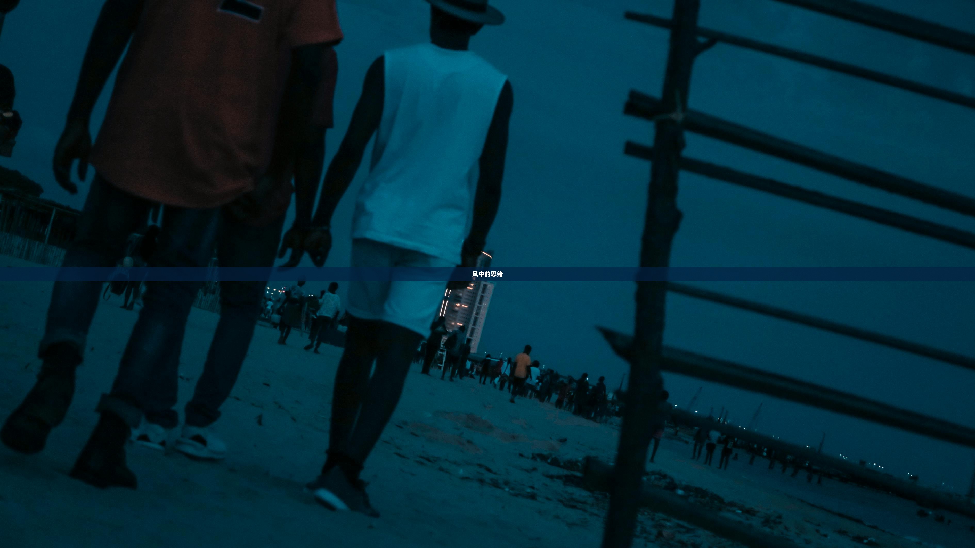 风中的思绪