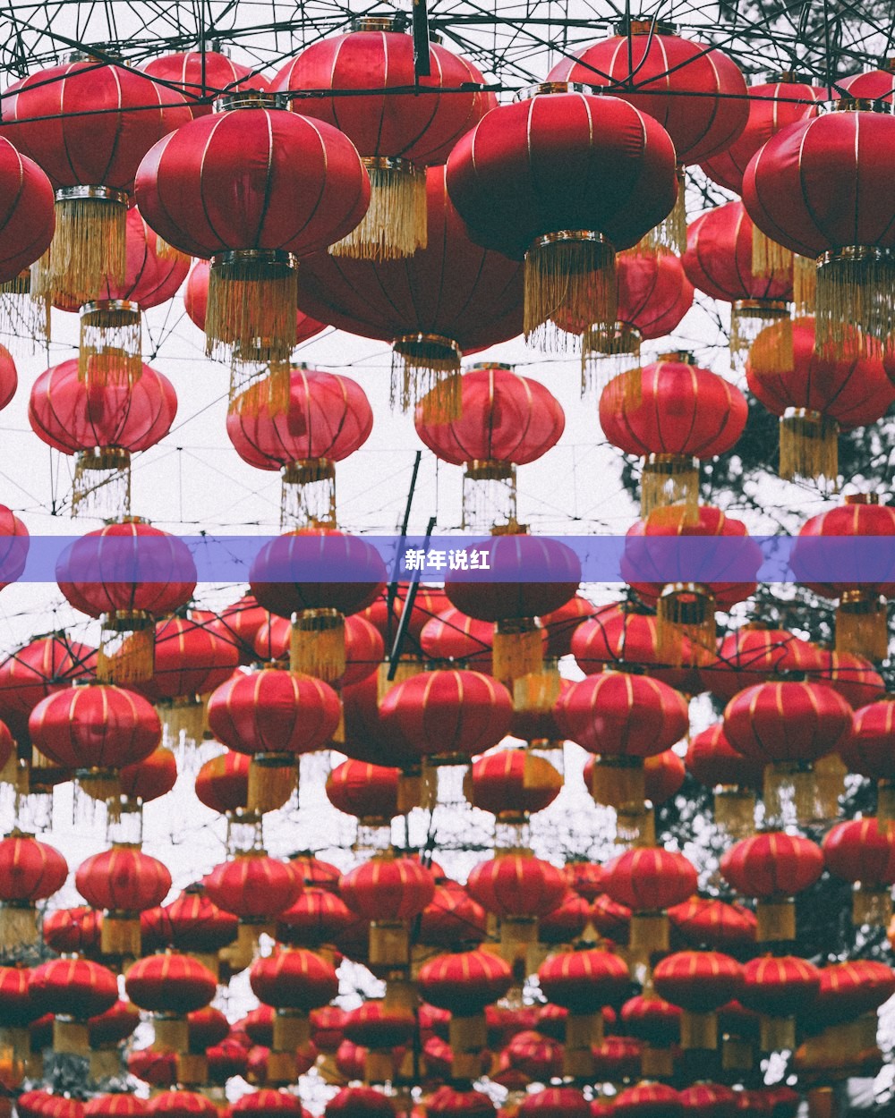 新年说红