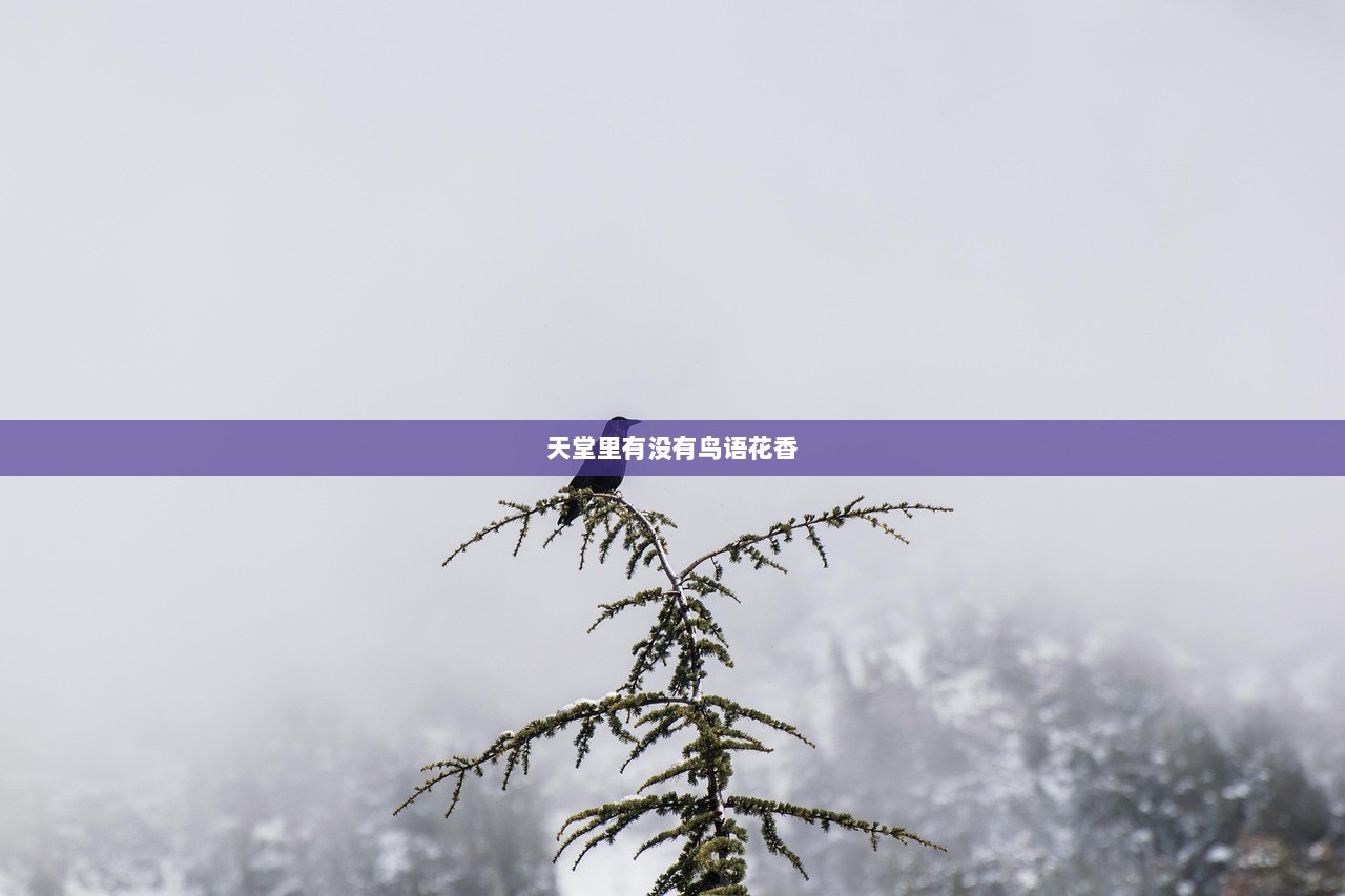 天堂里有没有鸟语花香  第1张