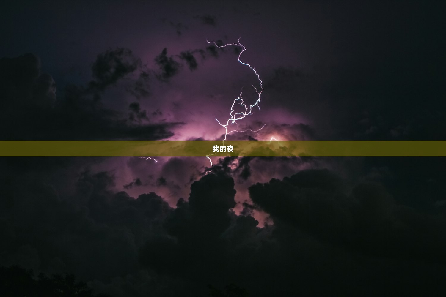 我的夜  第1张