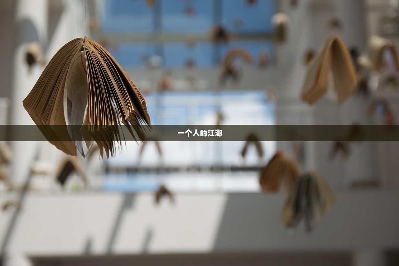 一个人的江湖  第1张