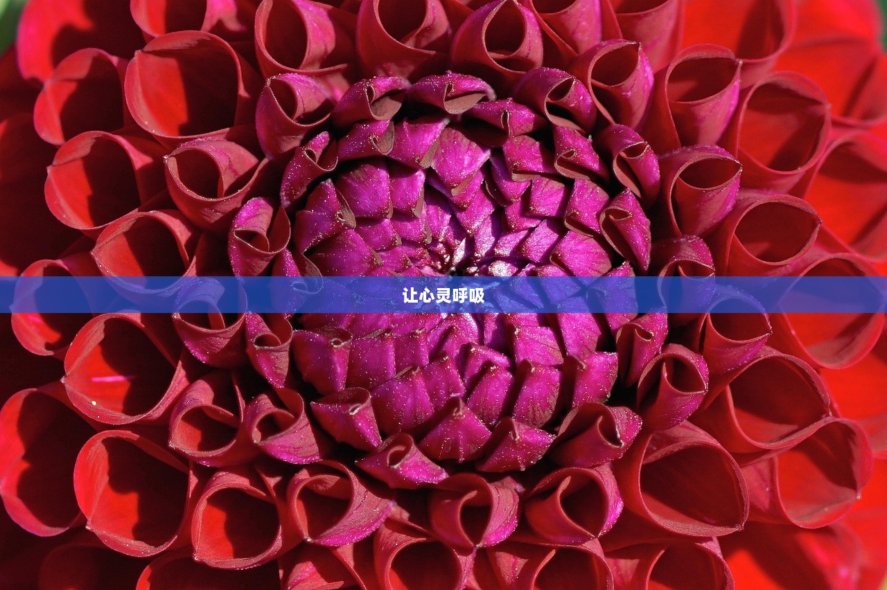 让心灵呼吸  第1张