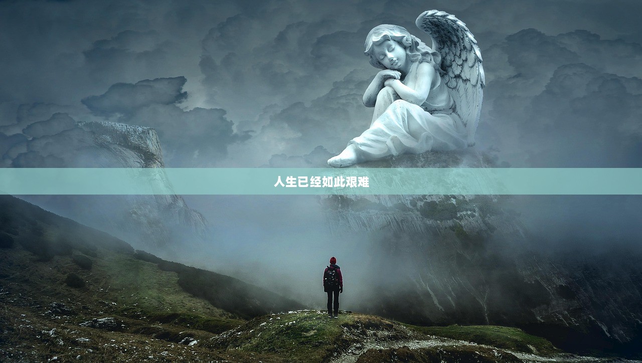人生已经如此艰难