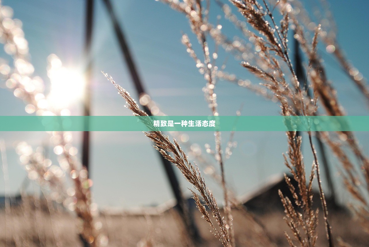 精致是一种生活态度