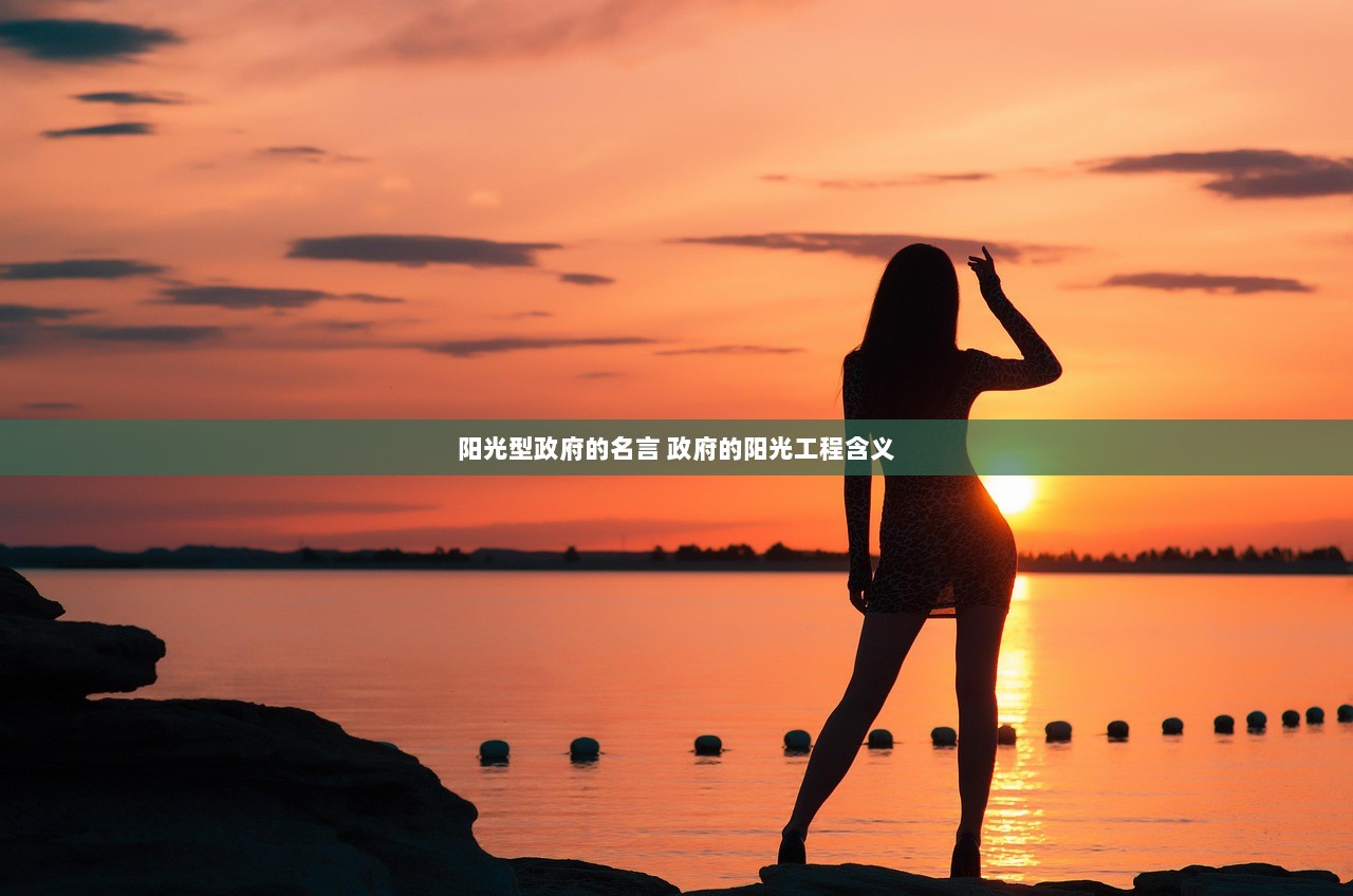 阳光型政府的名言 政府的阳光工程含义