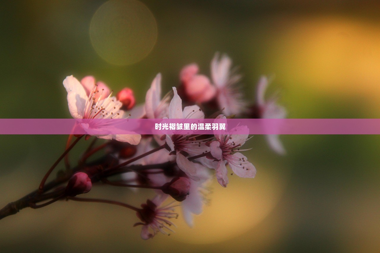 时光褶皱里的温柔羽翼