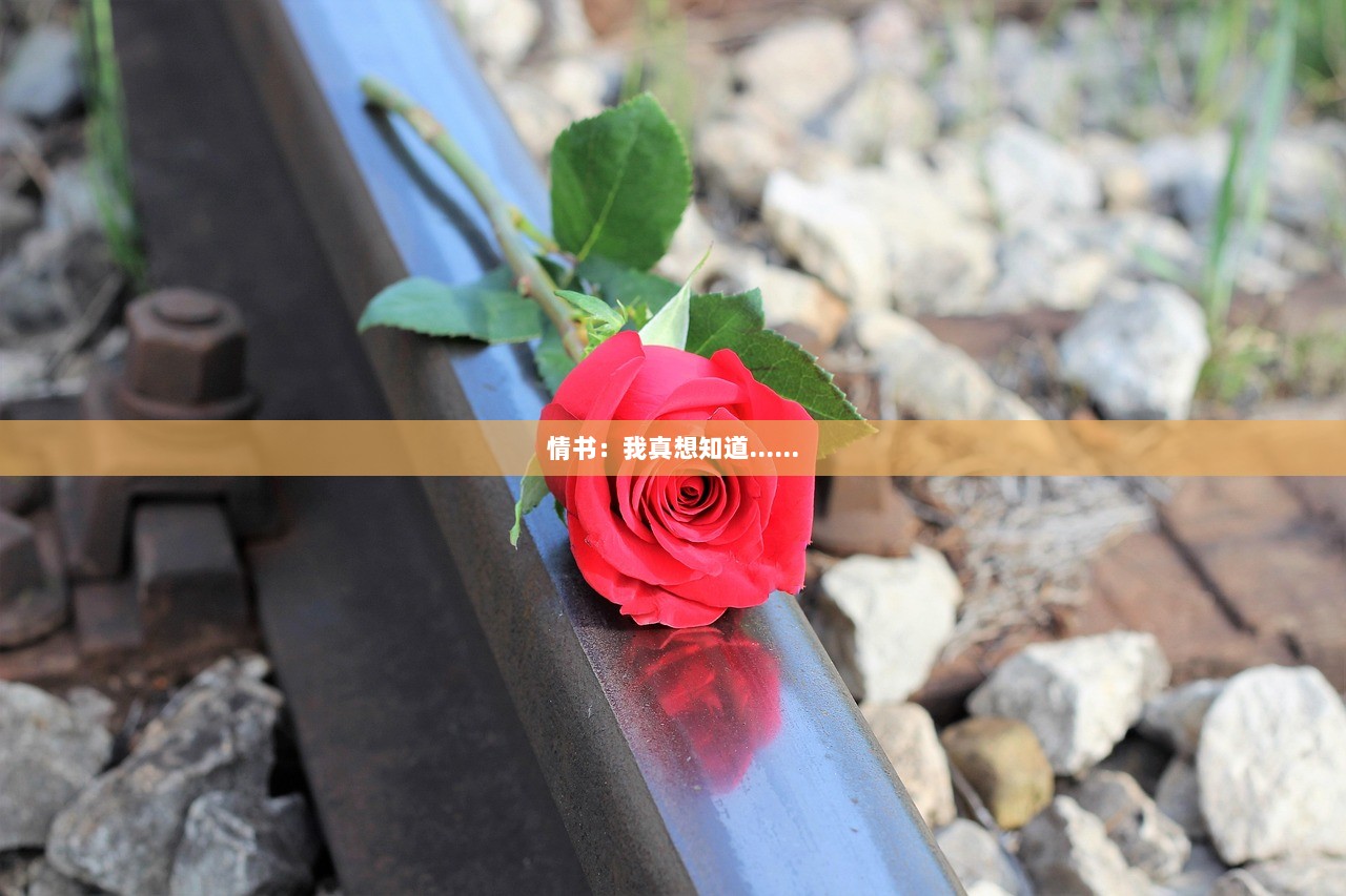 情书：我真想知道……