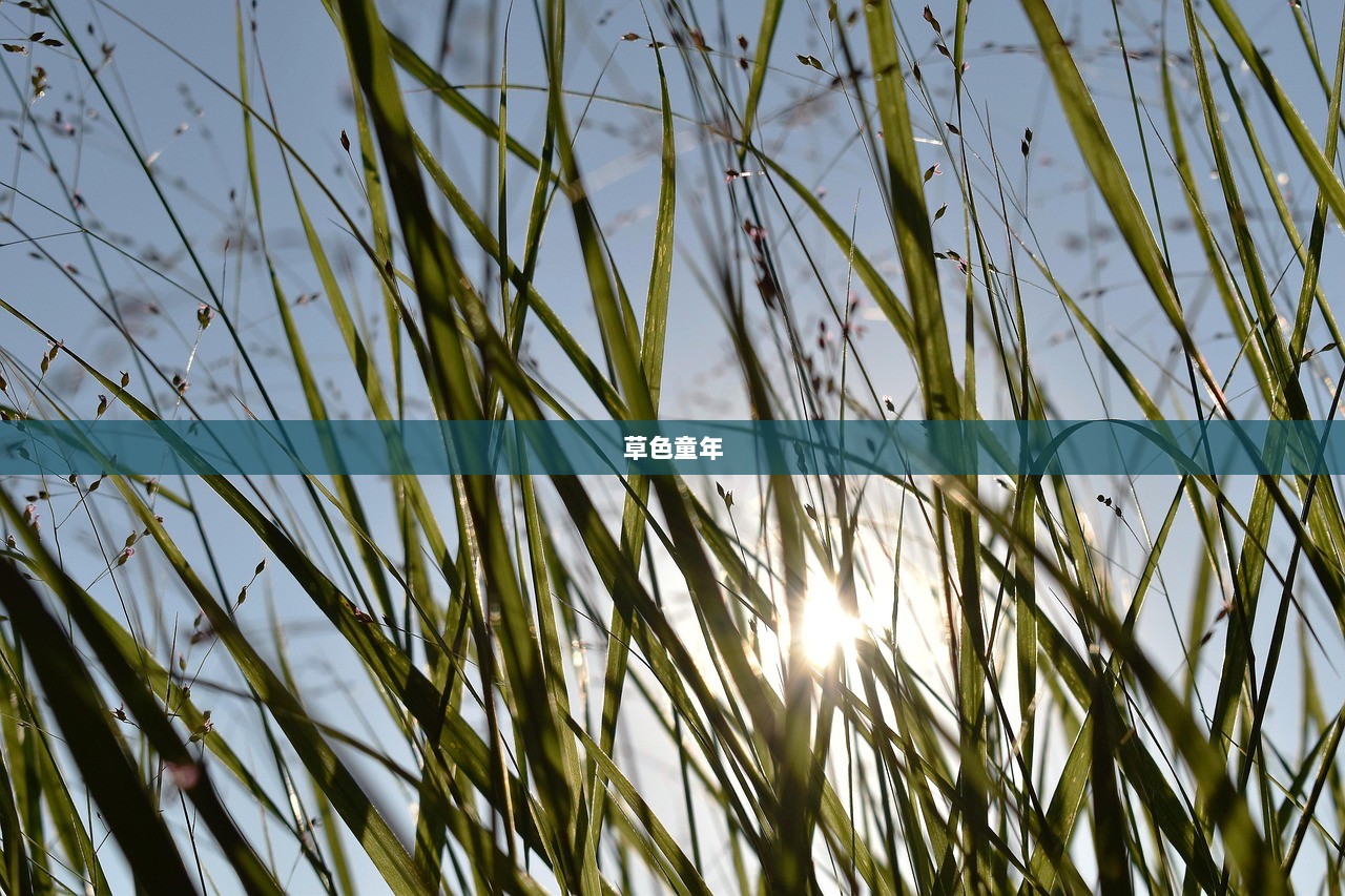 草色童年