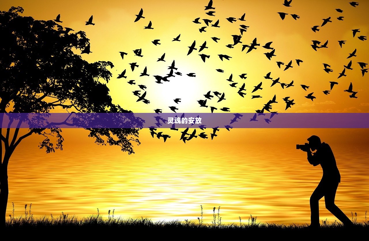 灵魂的安放