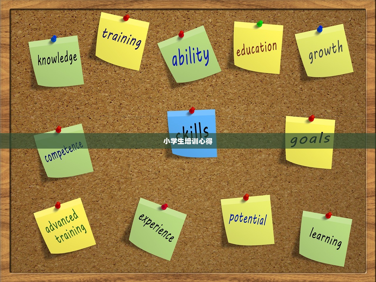 小学生培训心得