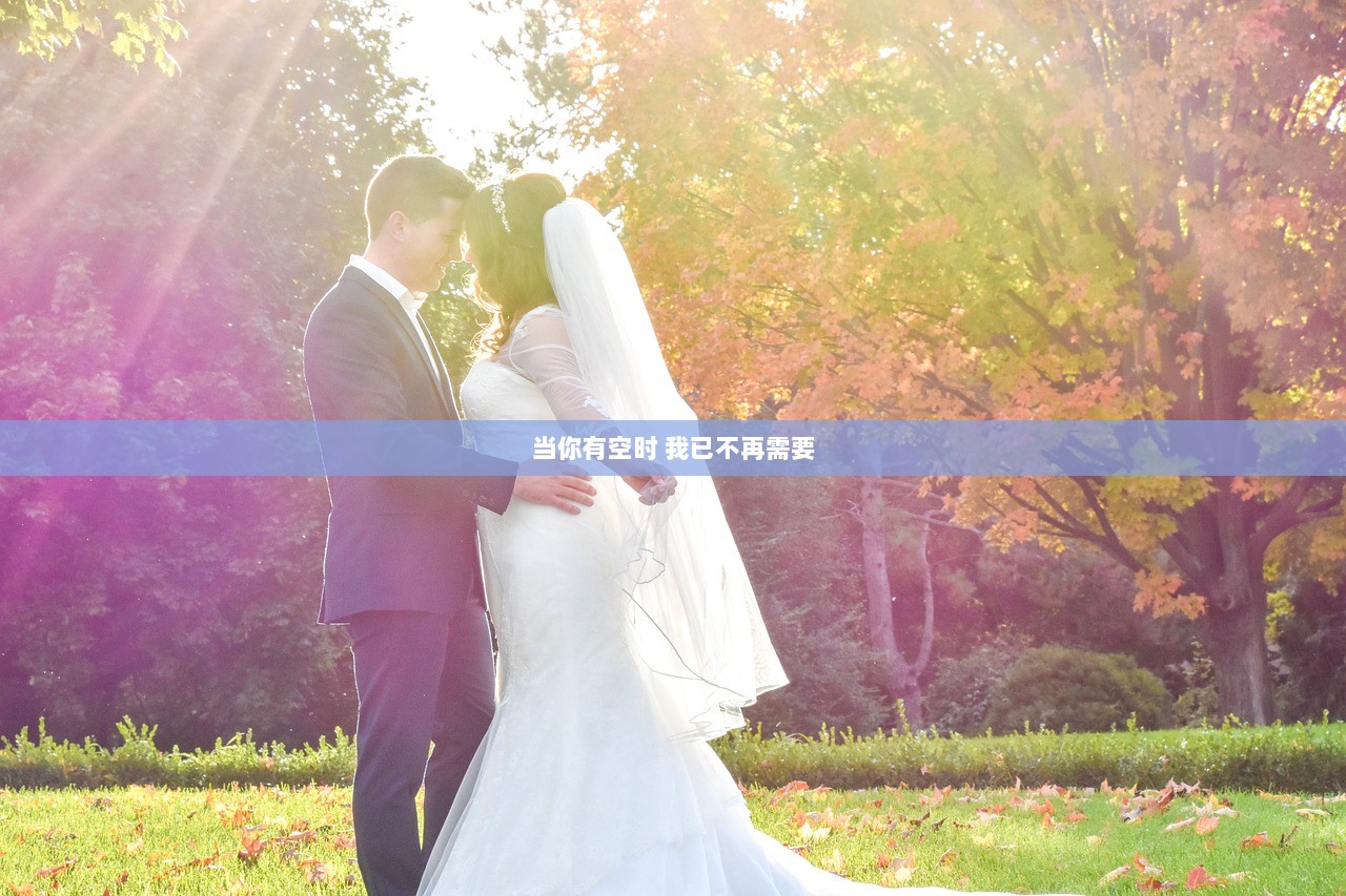 当你有空时 我已不再需要