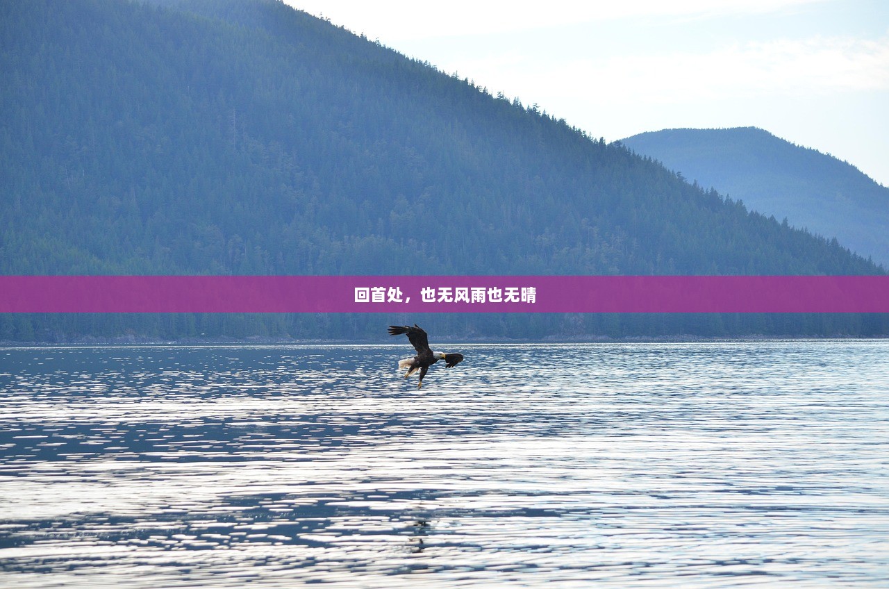 回首处，也无风雨也无晴