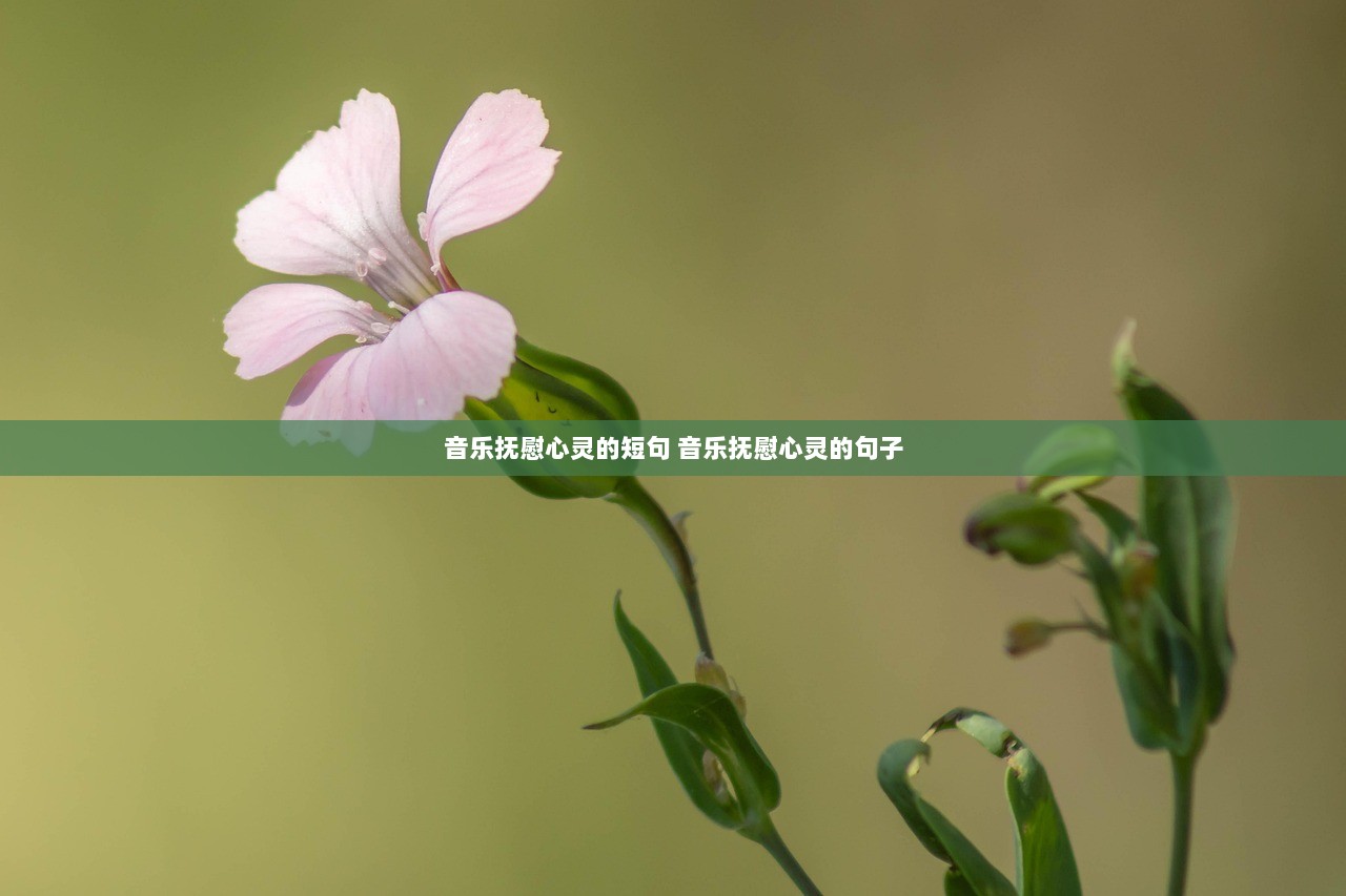 音乐抚慰心灵的短句 音乐抚慰心灵的句子