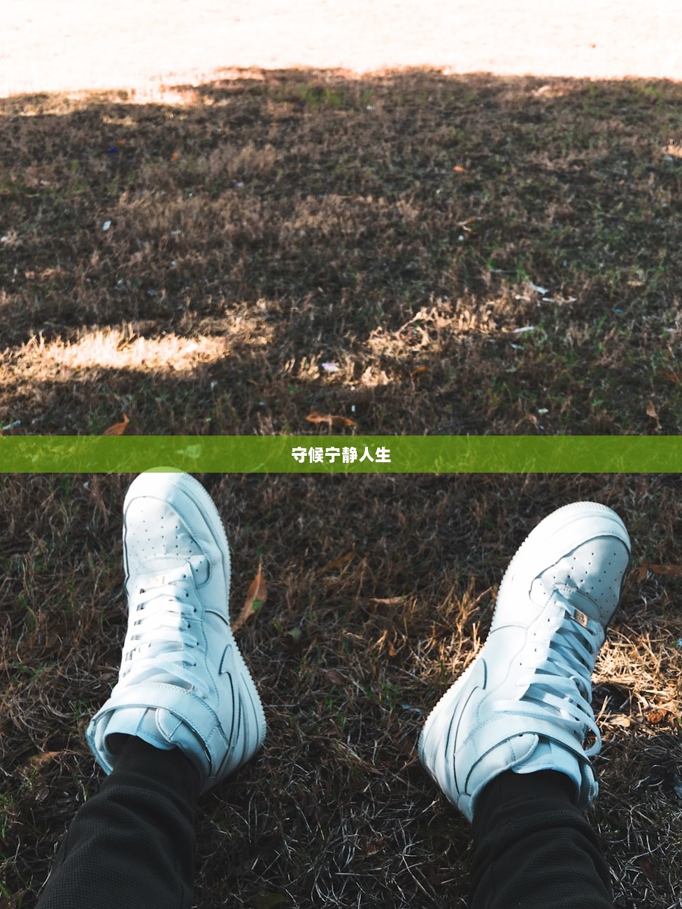 守候宁静人生